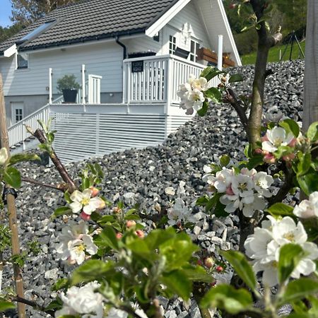 Fjord Road Apartment Hjelmeland Екстериор снимка