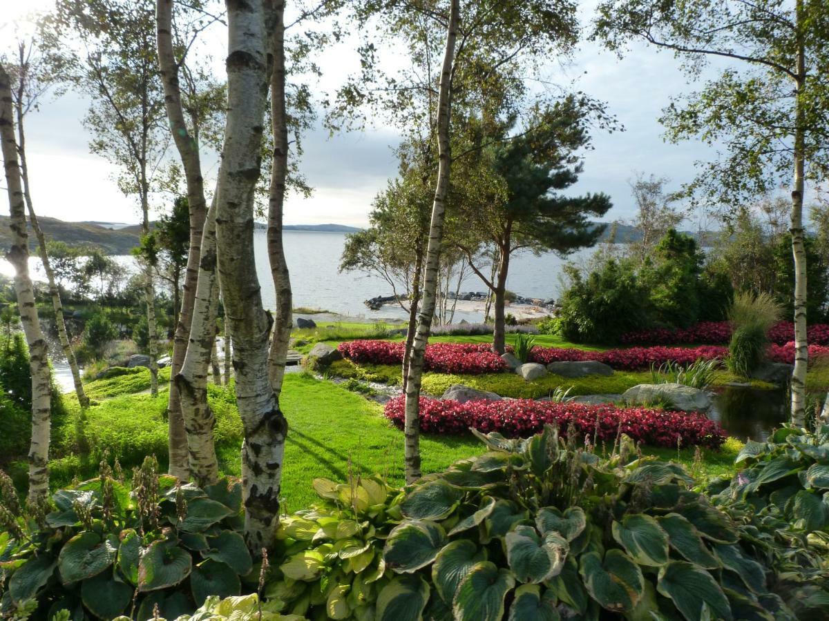 Fjord Road Apartment Hjelmeland Екстериор снимка