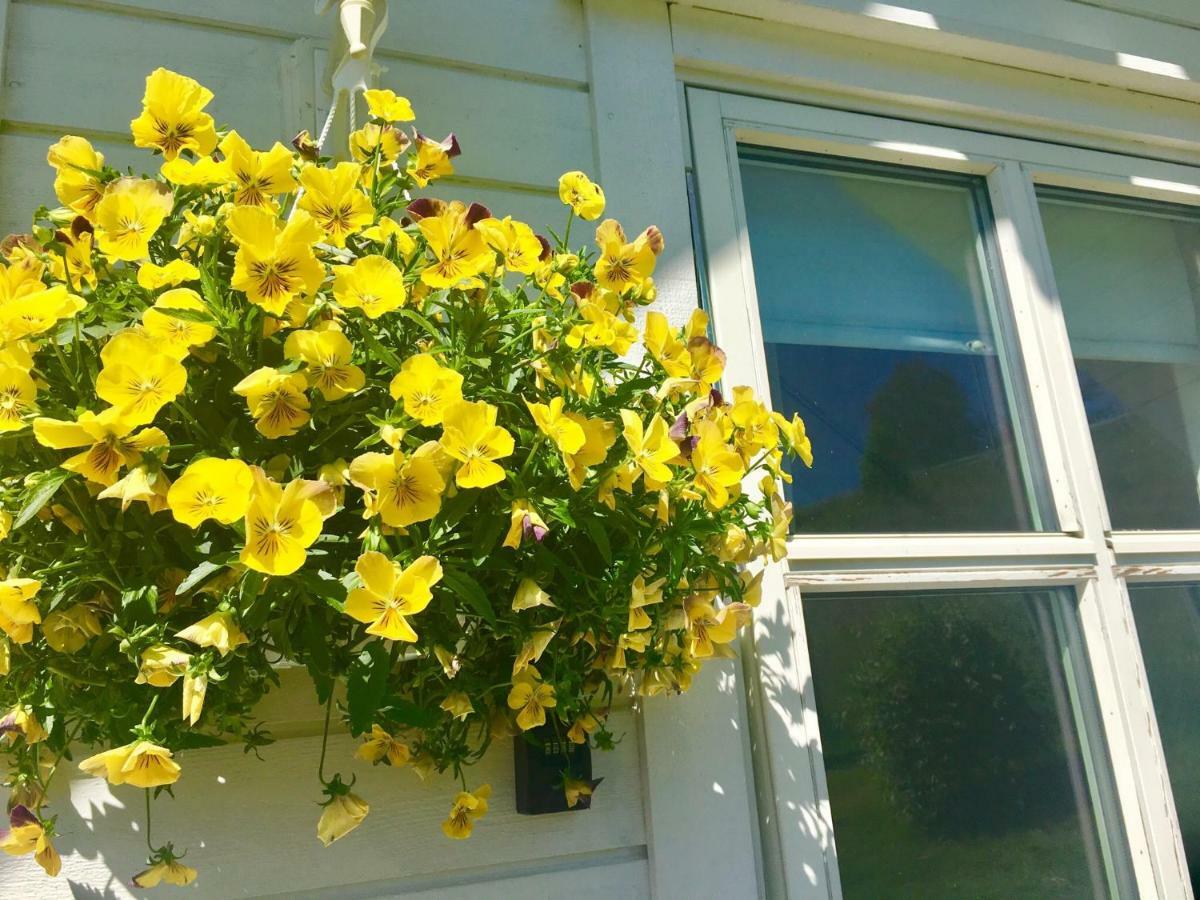 Fjord Road Apartment Hjelmeland Екстериор снимка