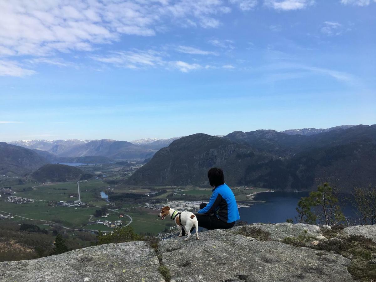 Fjord Road Apartment Hjelmeland Екстериор снимка